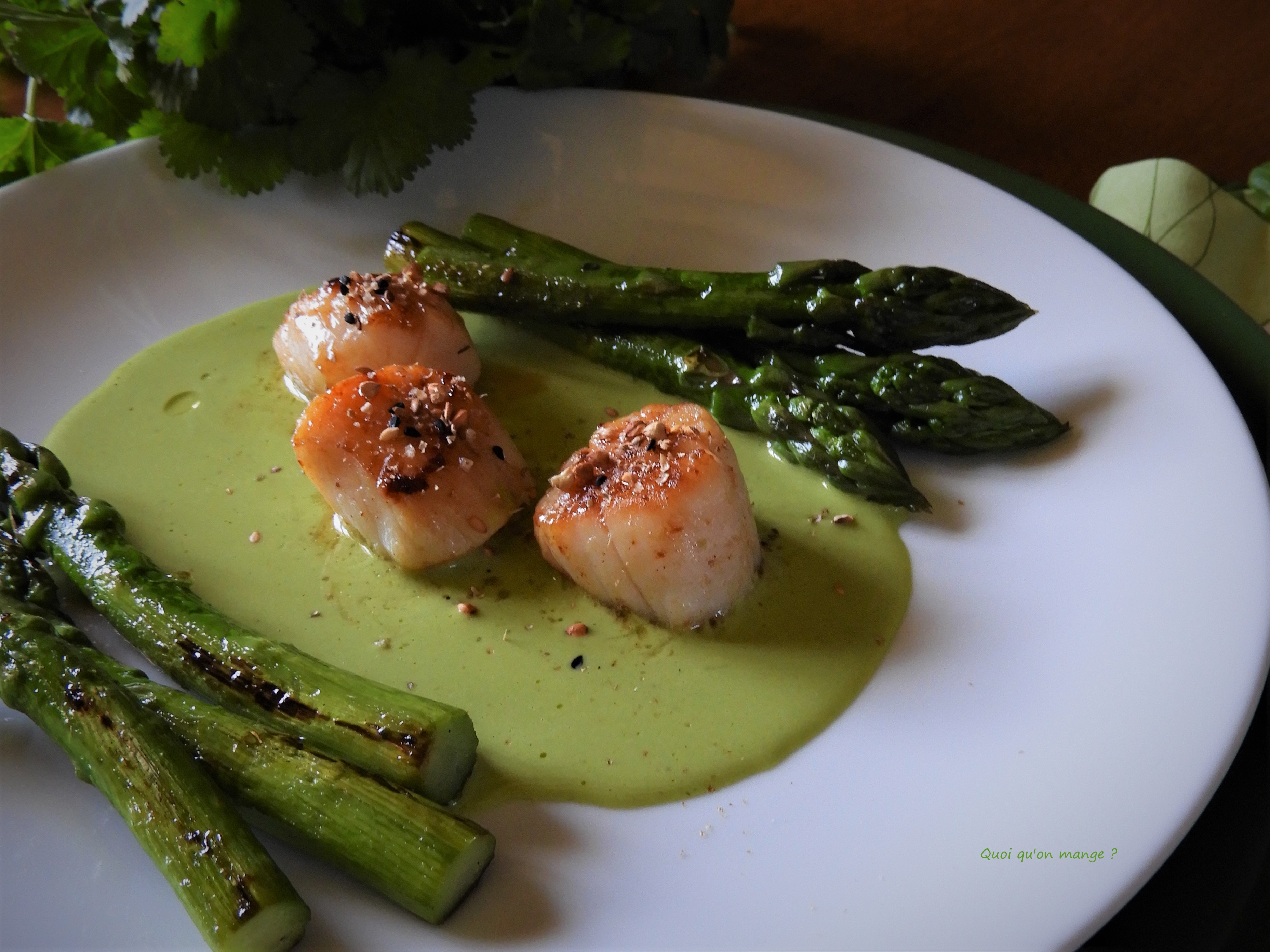 Noix de St Jacques, asperges vertes juste étuvées, crème à l'ail des ours