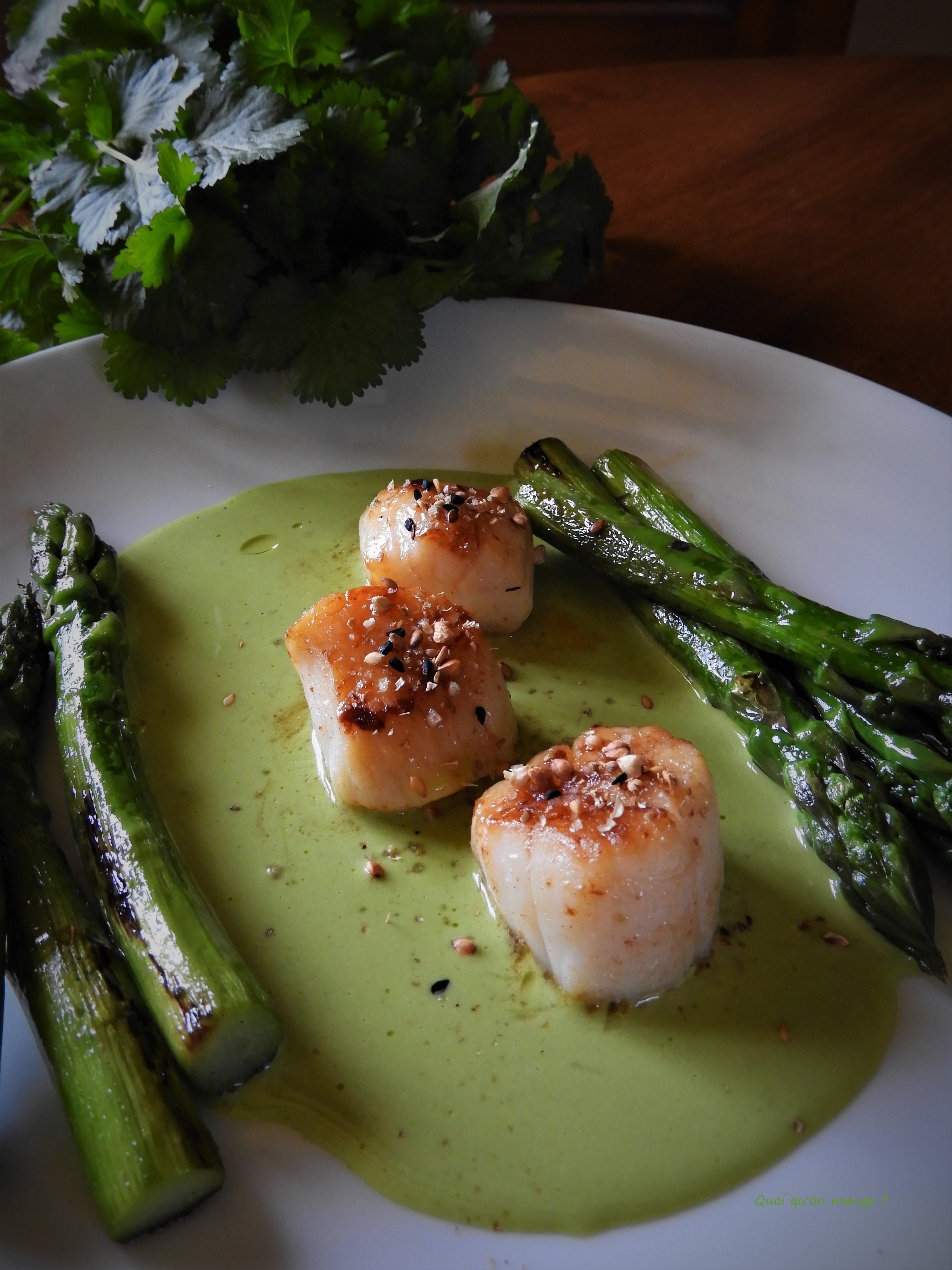 Noix de St Jacques, asperges vertes juste étuvées, crème à l'ail des ours