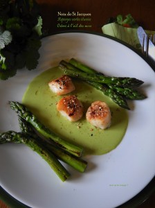Saint-Jacques et asperges vertes juste Ă©tuvĂ©es, crème d’ail des ours