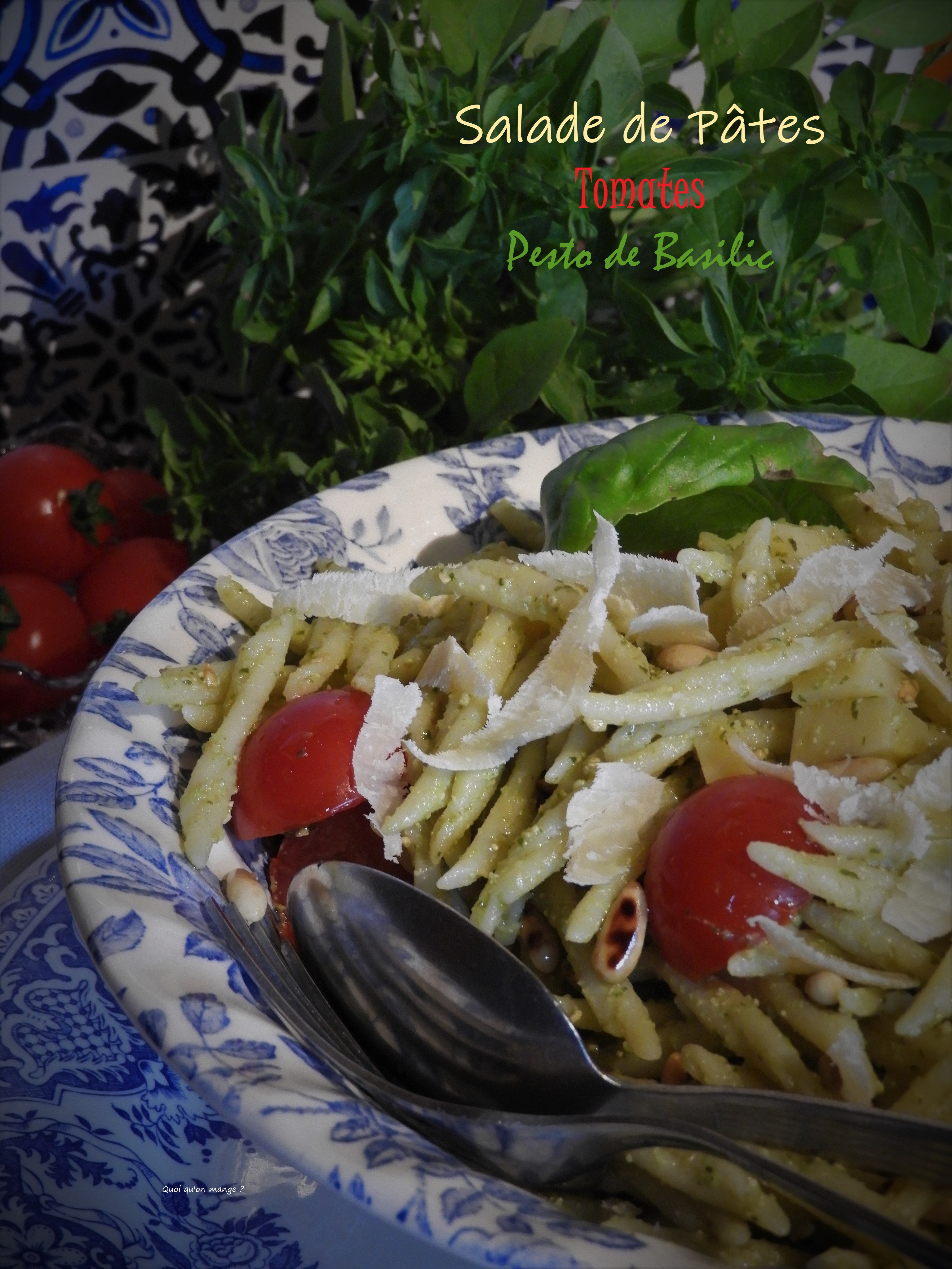 Salade de pâtes aux pesto de basilic, tomates et emmental