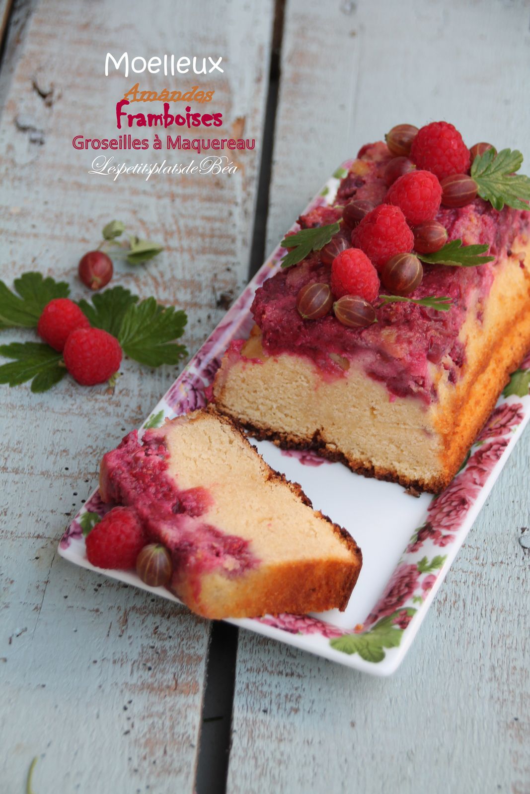 image_1607978_20210721_ob_58ad1f_img-8483