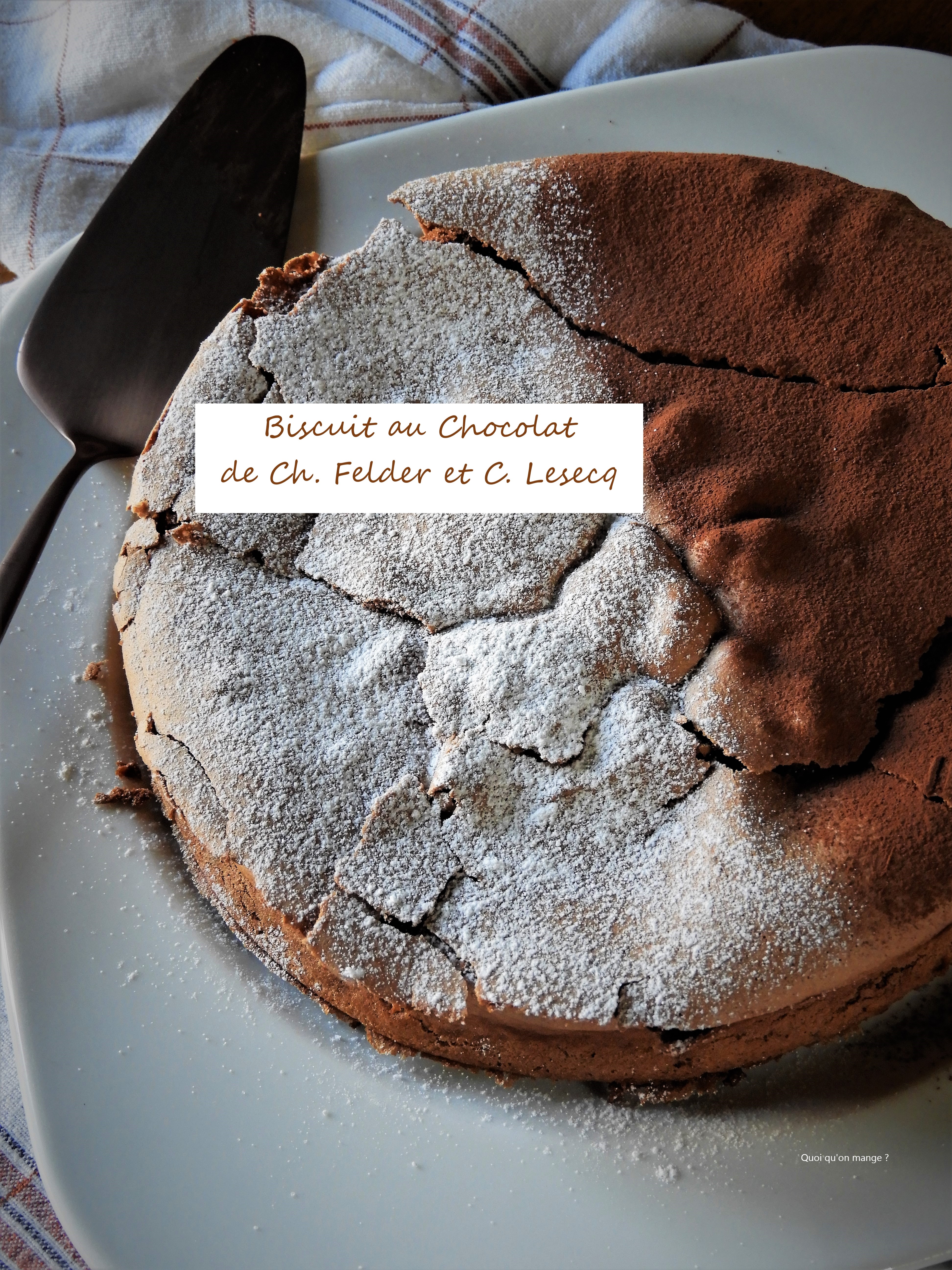 Biscuit au chocolat de Ch. Felder et C. Lesecq, LE gâteau qui a tout&nbsp;bon