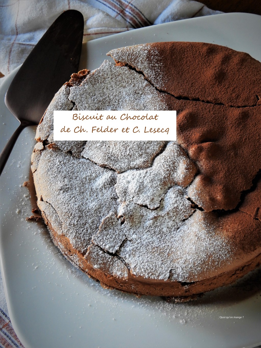 Biscuit au chocolat de Ch. Felder et C. Lesecq, LE gâteau qui a tout&nbsp;bon