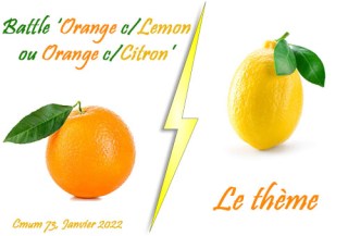 theme-orange-citron