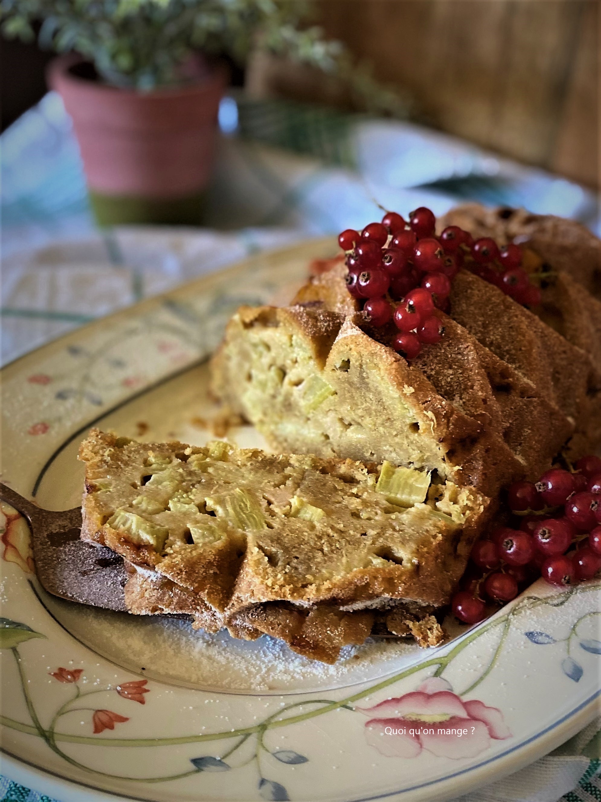 Gâteau facile à la rhubarbe du jardin