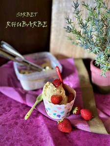 Sorbet Ă la Rhubarbe du jardin