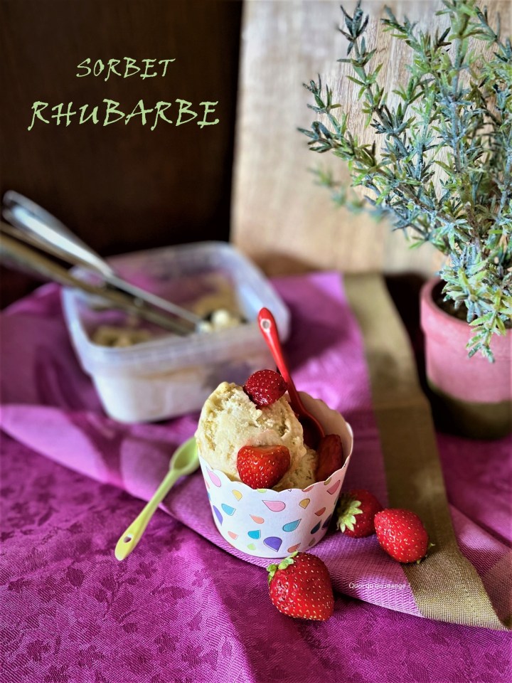 Sorbet à la rhubarbe du&nbsp;jardin