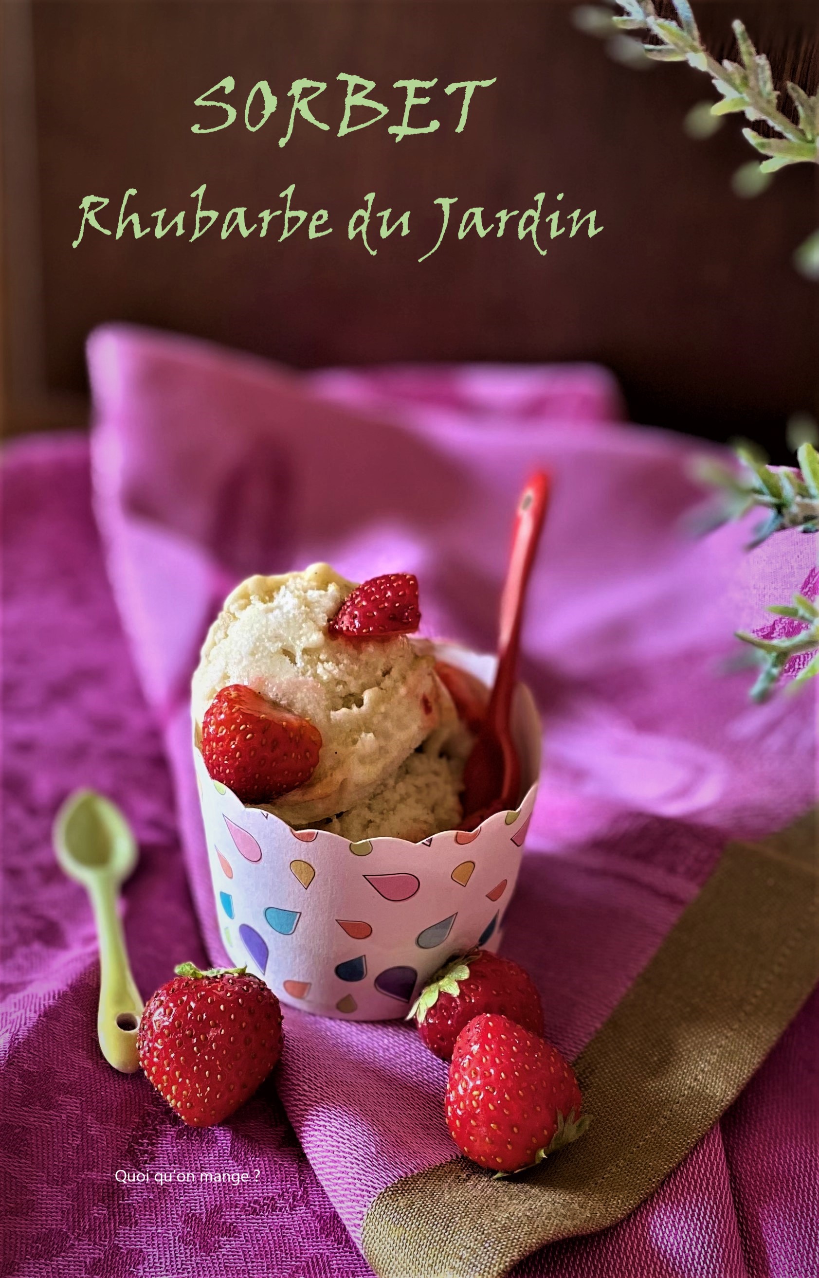Sorbet à la rhubarbe du jardin