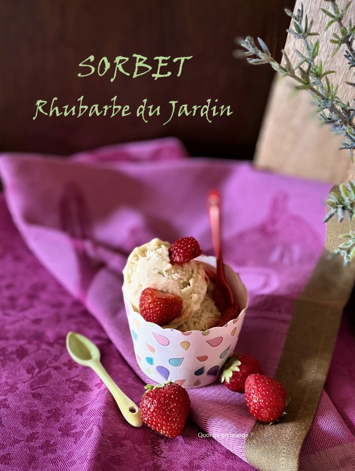 Sorbet à la rhubarbe du jardin