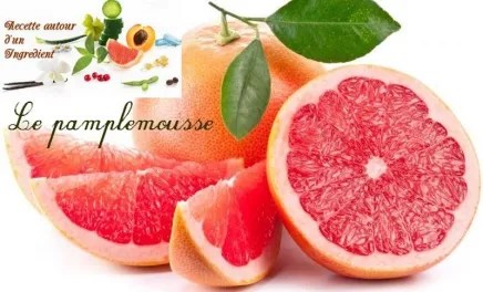 logo-pamplemousse