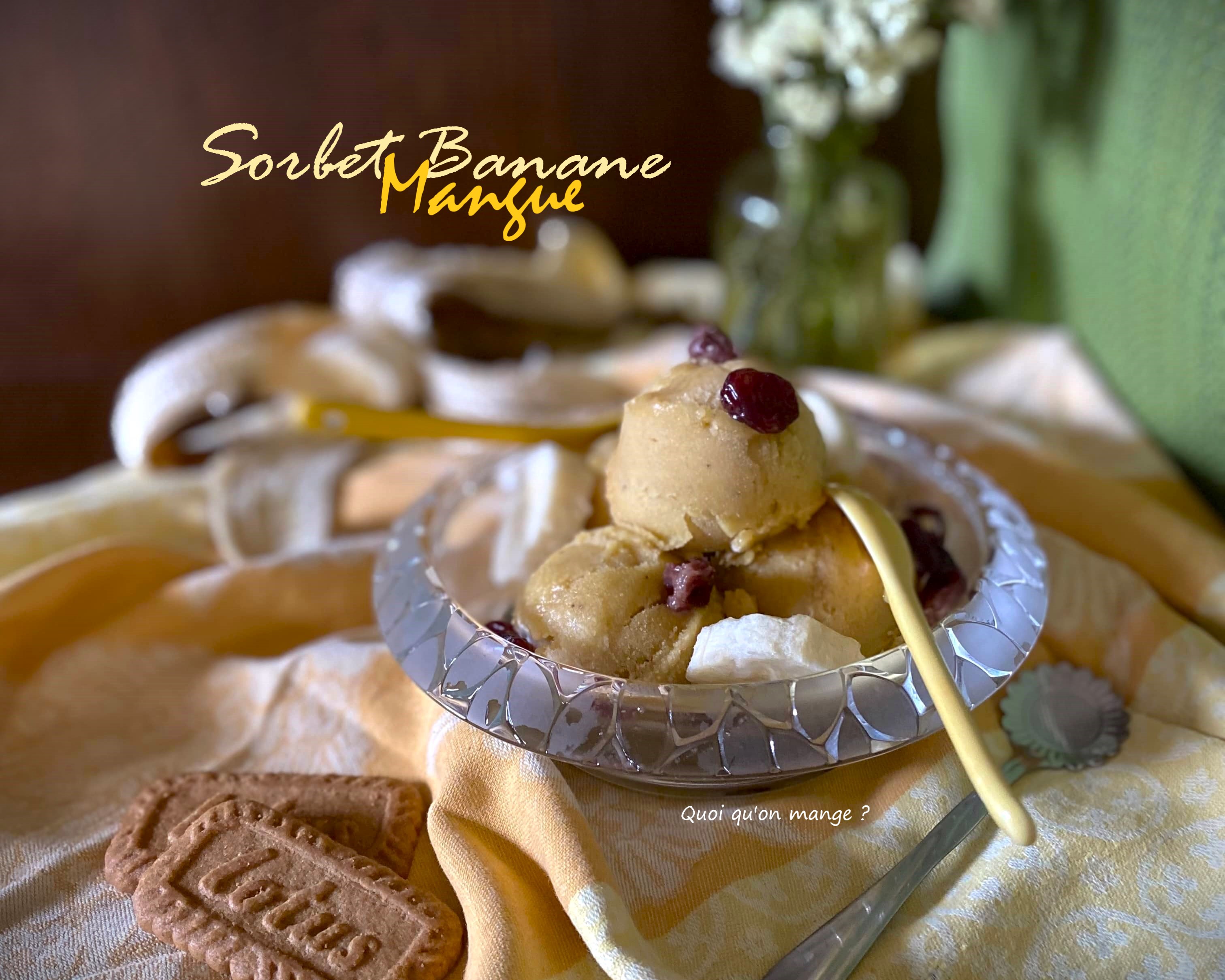 Sorbet Banane et Mangue – une recette sans&nbsp;lactose