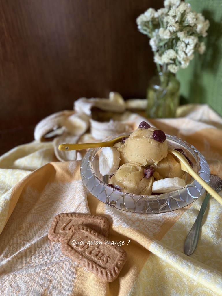 Sorbet Banane & Mangue