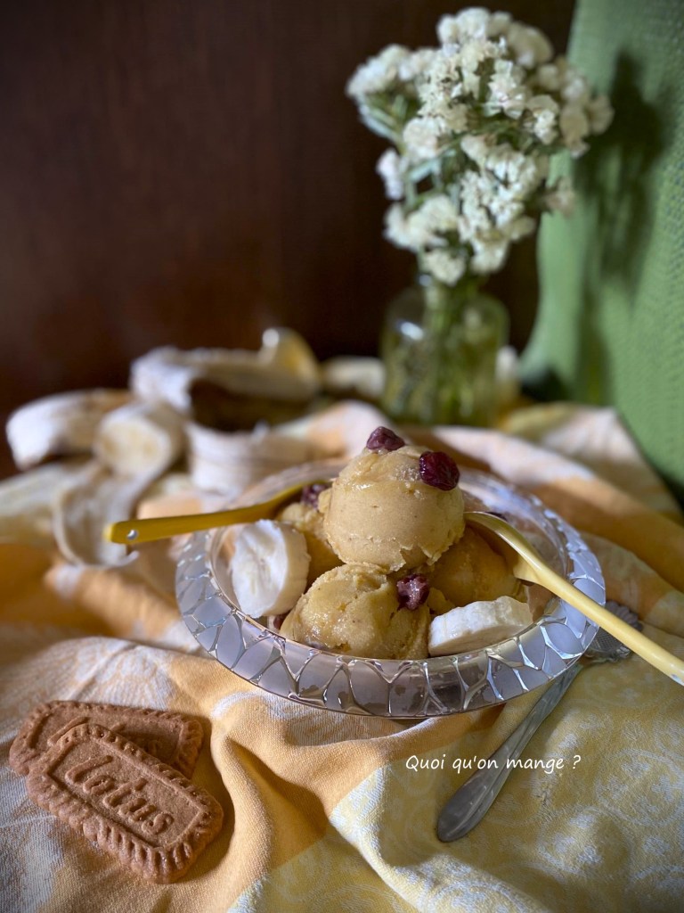 Sorbet Banane & Mangue