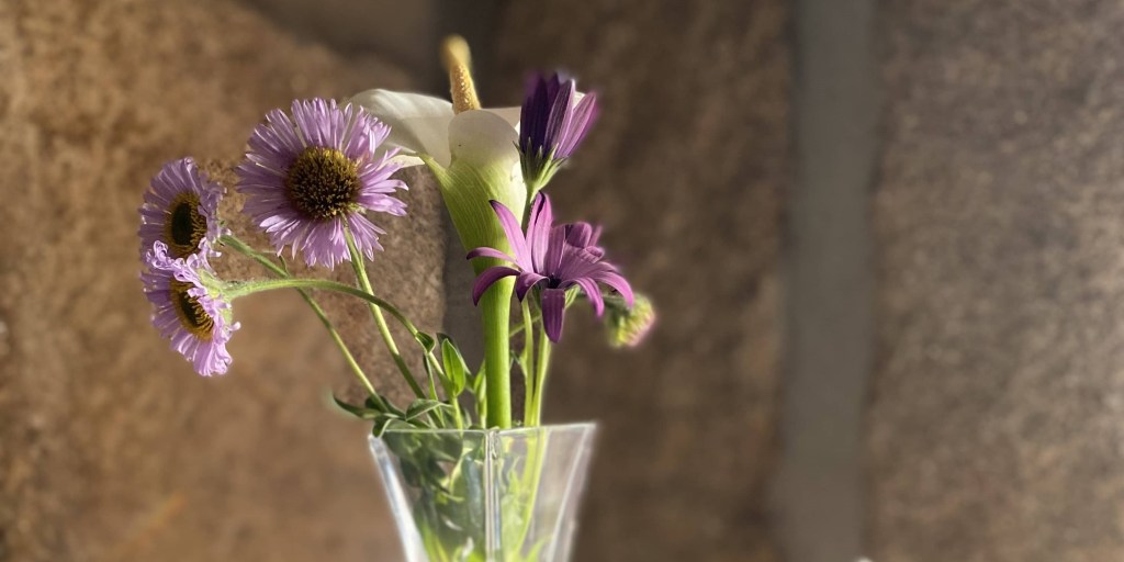 Blog au ralenti – Prendre du&nbsp;recul