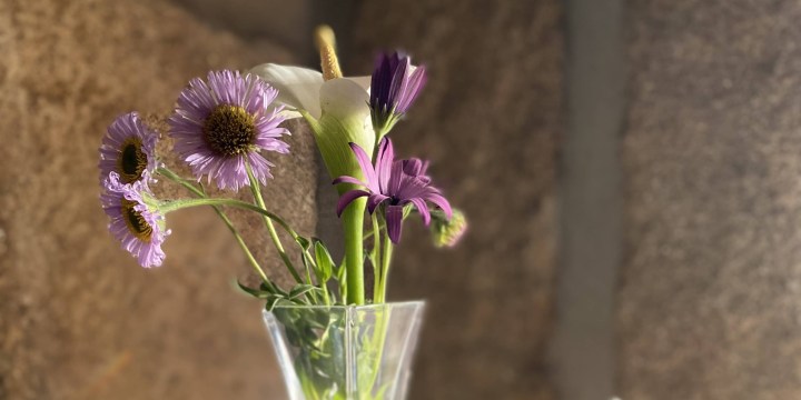 Blog au ralenti – Prendre du&nbsp;recul