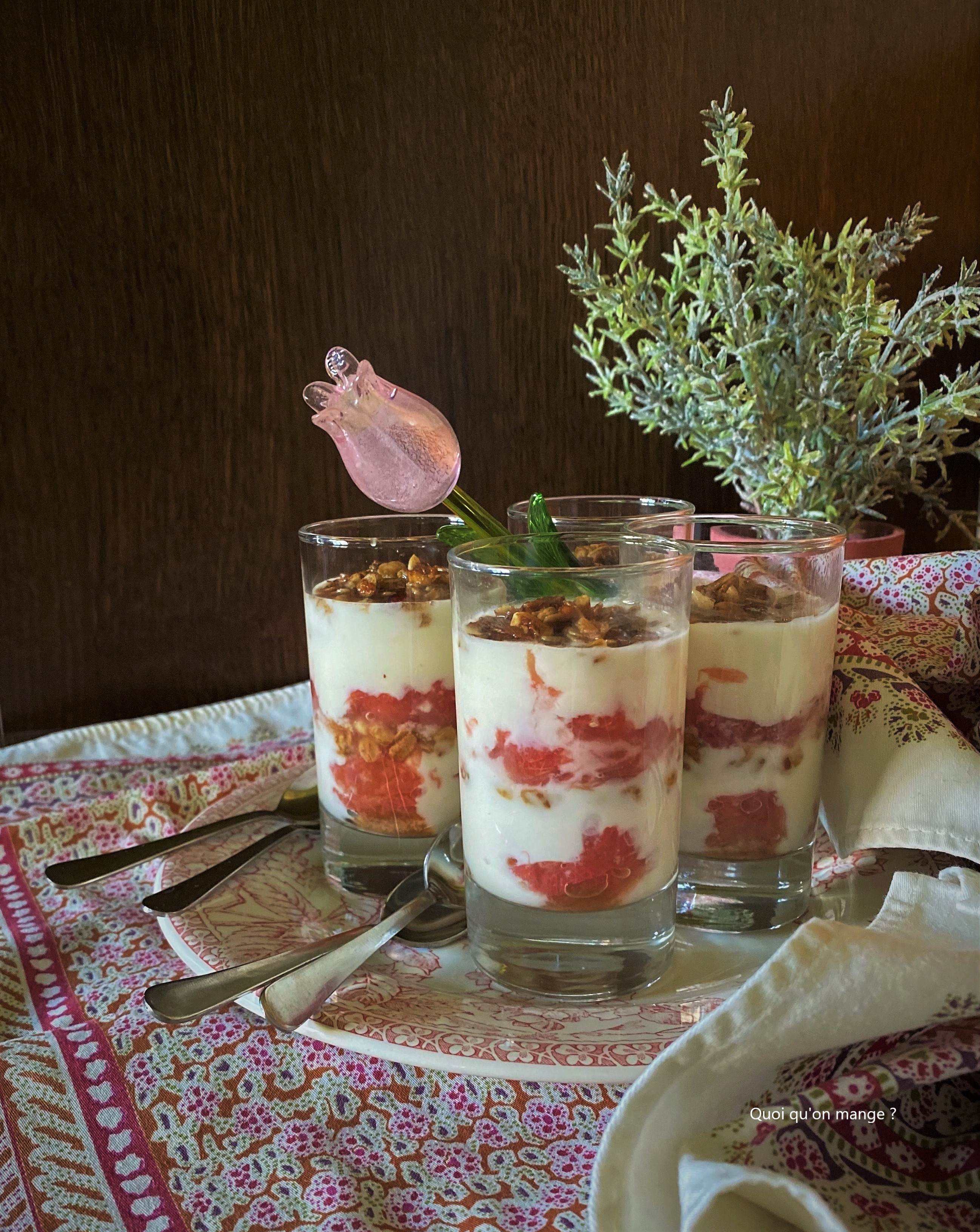 Parfait de yaourt de pamplemousse et au granola maison
