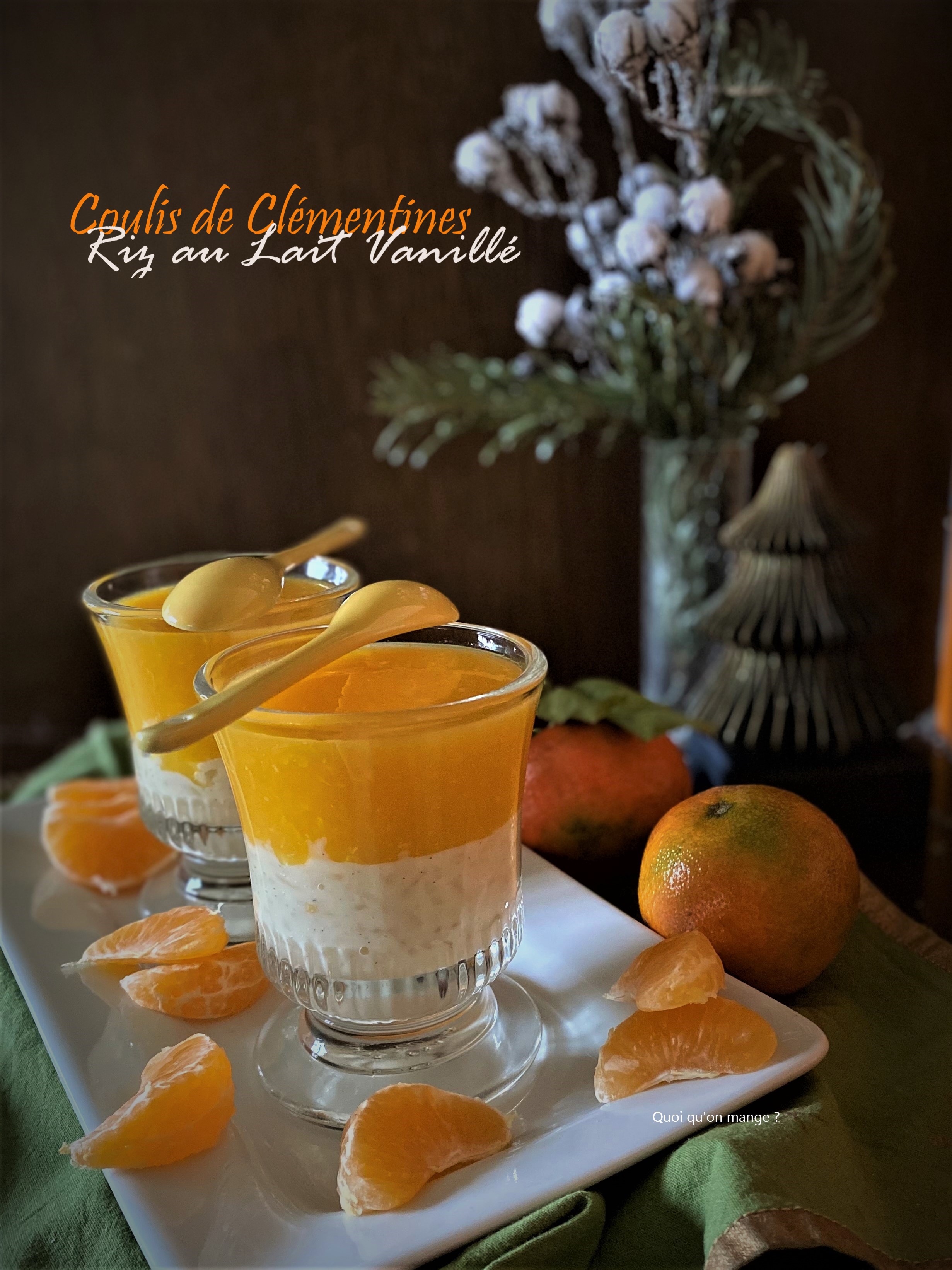 coulis-clementines-sur-riz-au-lait (4)