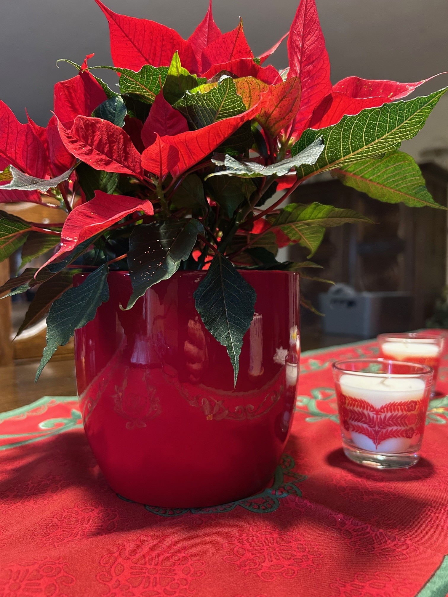 Votre menu de Décembre [suivant les stats] simple et facile mais&nbsp;raffiné