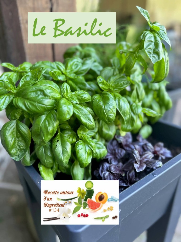 Défi Un Ingrédient #134 - Le Basilic